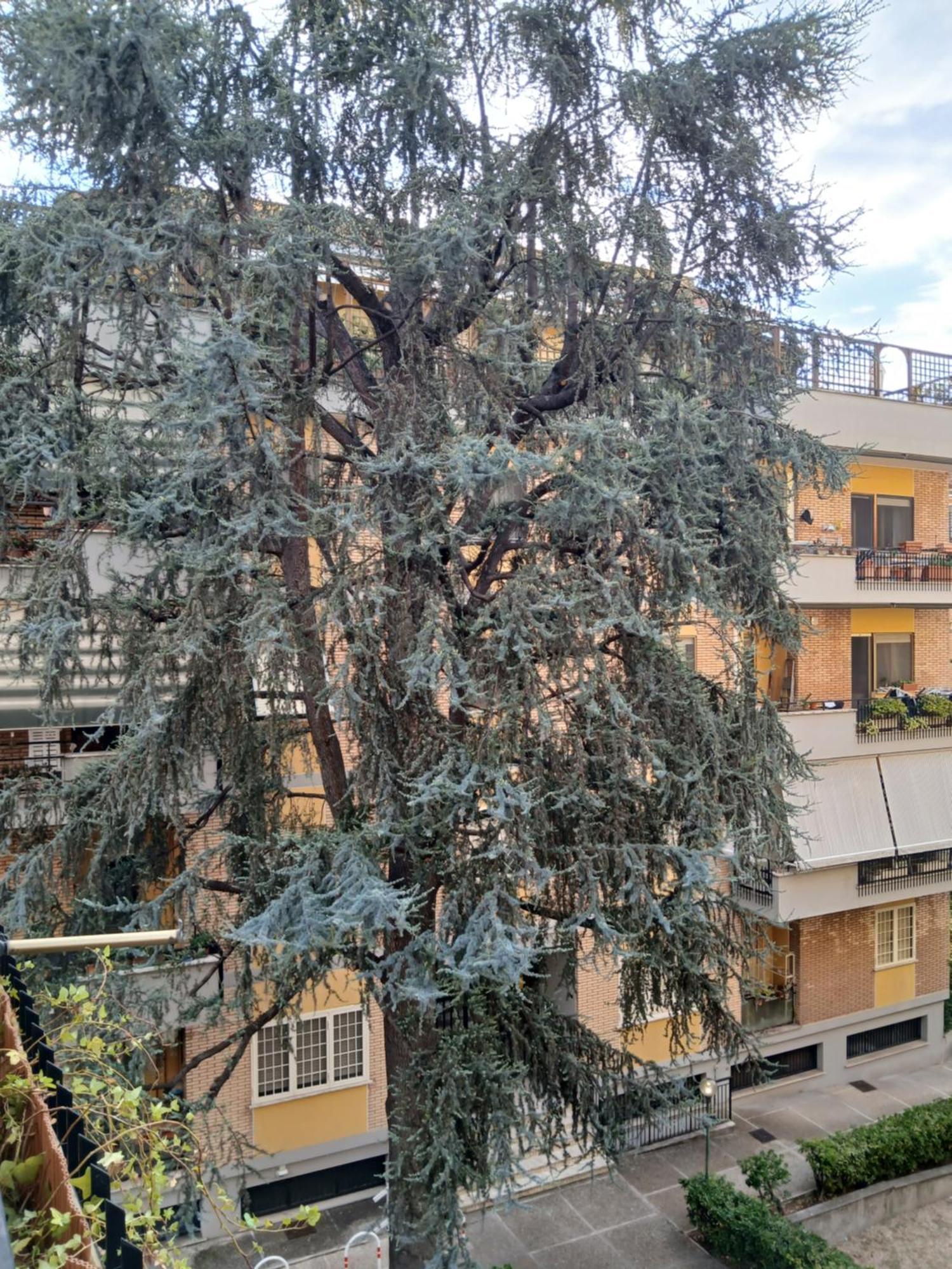 La Casa Di Antonella E Giuseppe * Rom